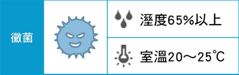 黴菌 濕度|你應知道關於霉菌的十件事 